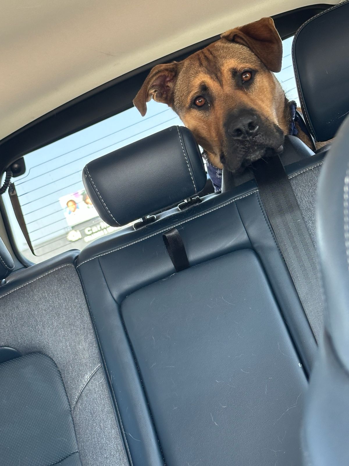 Roscoe-4 Roscoe-4